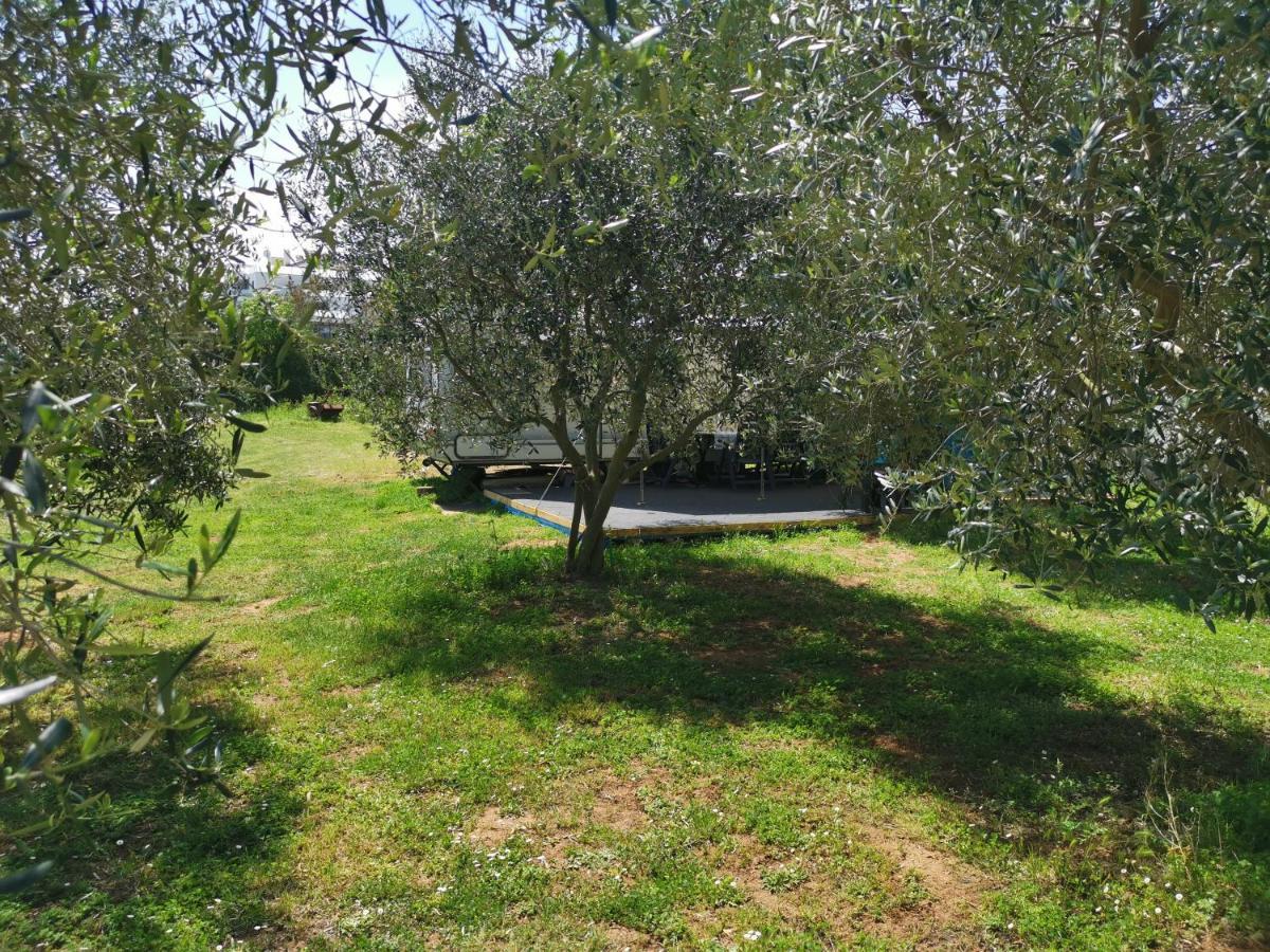 Отель Large Camper In The Olive Grove Банджоле Экстерьер фото